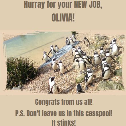 Congratulations
